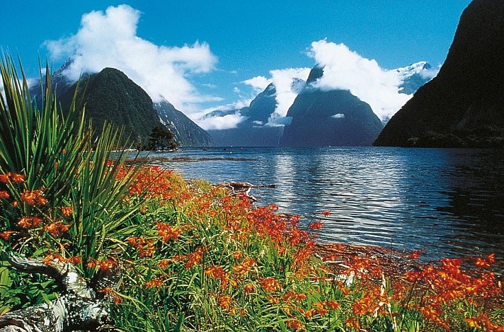 Zwischen Fjorden, Vulkanen & Küsten - Neuseeland entdecken