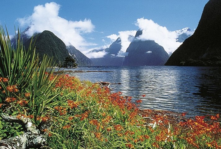 Zwischen Fjorden, Vulkanen & Küsten - Neuseeland entdecken - Milford Sound