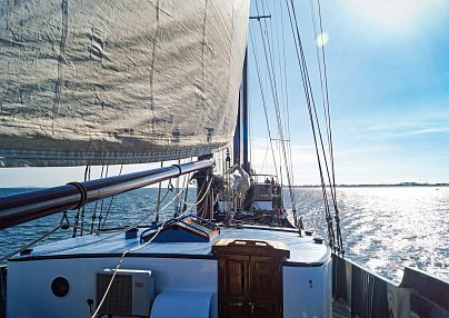 Mare fan Fryslan - Wattenmeer Amsterdam
