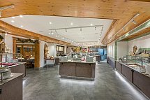 IFA Alpenrose Hotel