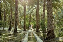 Kulturelle Schätze des Morgenlandes - Al Ain Oase