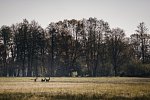 Waldhotel Eiche