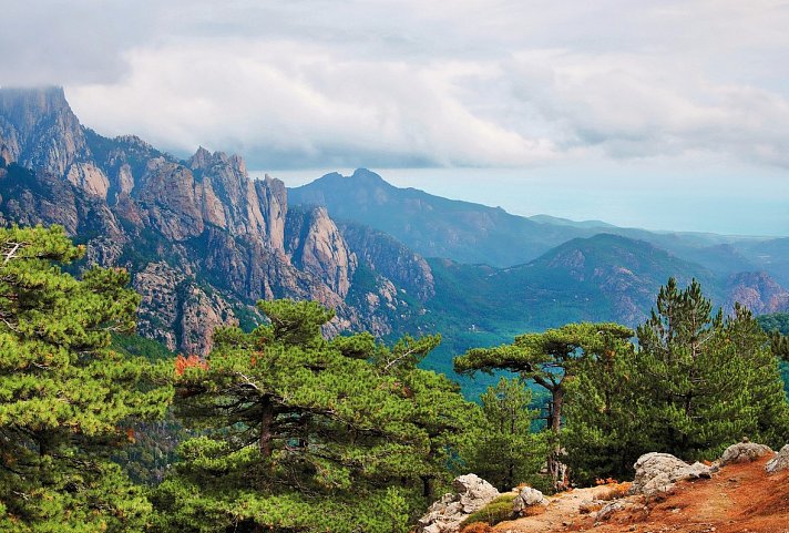 Korsika - ein Gebirge im Meer - Col de Bavella
