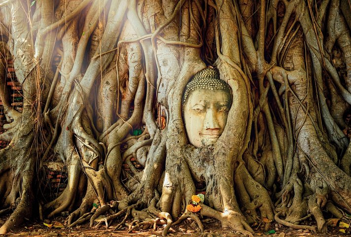 Nord-Thailand Kaleidoskop (mit Baden) - Mahathat Tempel, Ayutthaya