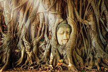 Nord-Thailand Kaleidoskop (Gruppenreise, ohne Bangkok) - Mahathat Tempel, Ayutthaya