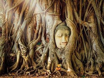 Nord-Thailand Kaleidoskop (Gruppenreise, ohne Bangkok) - Mahathat Tempel, Ayutthaya