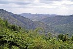 Khao Yai Nationalpark