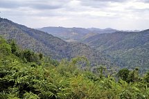 Khao Yai Nationalpark