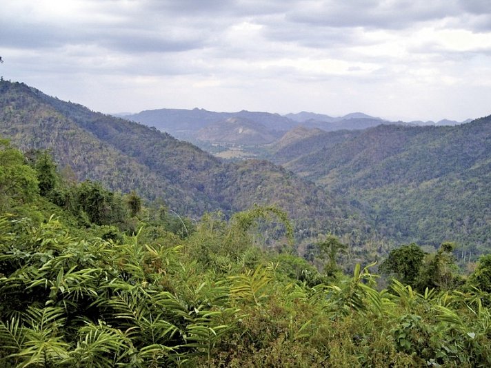 Khao Yai Nationalpark