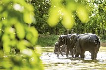 Glanzpunkte Thailands