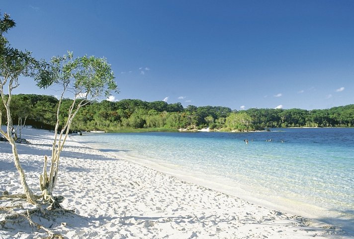 Ostküste auf eigene Faust (Brisbane - Cairns, 12 Nächte) - Lake McKenzie, K'gari