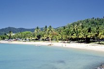 Ostküste auf eigene Faust - Airlie Beach