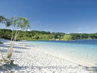 Ostküste auf eigene Faust - Lake McKenzie, K'gari