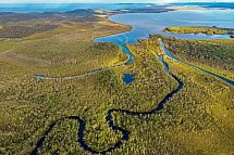 Ostküste auf eigene Faust - Noosa Everglades