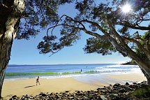 Ostküste auf eigene Faust - Tea Tree Bay Noosa NP