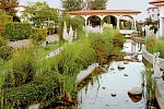 Helena Park