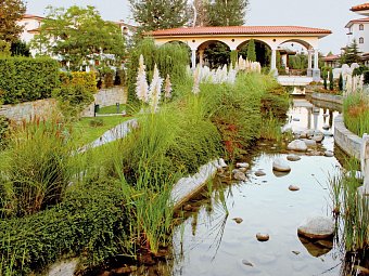 Helena Park