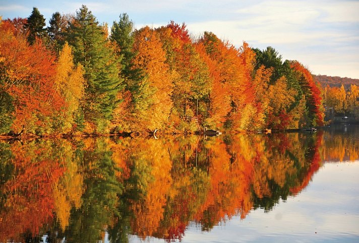 Farbenpracht des Indian Summer (ab/bis Boston) - Faszinierende Laubfärbung