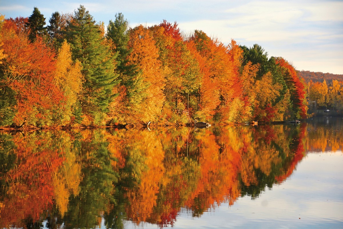Farbenpracht des Indian Summer (ab/bis Boston)
