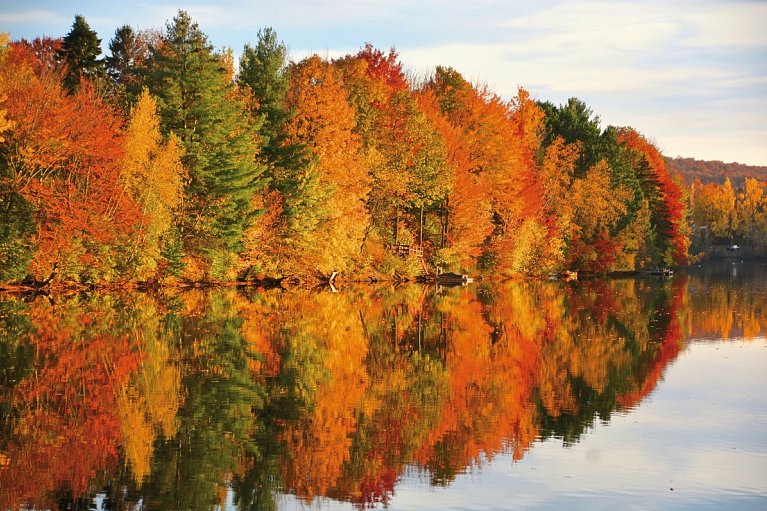 Farbenpracht des Indian Summer (ab/bis Boston) - Faszinierende Laubfärbung