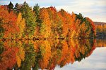 Farbenpracht des Indian Summer (ab Boston/bis New York)
