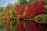 Farbenpracht des Indian Summer (ab Boston/bis New York)