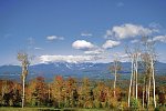 Trapp Family Lodge