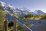 Die idyllische Bergwelt der Jungfrauregion