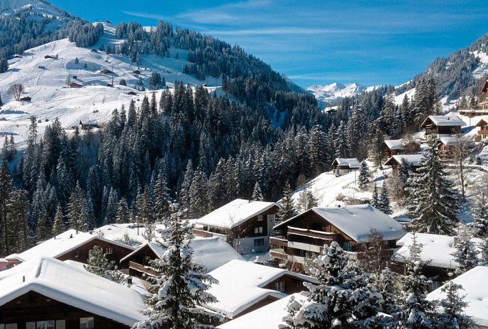 Hotel Steinmattli