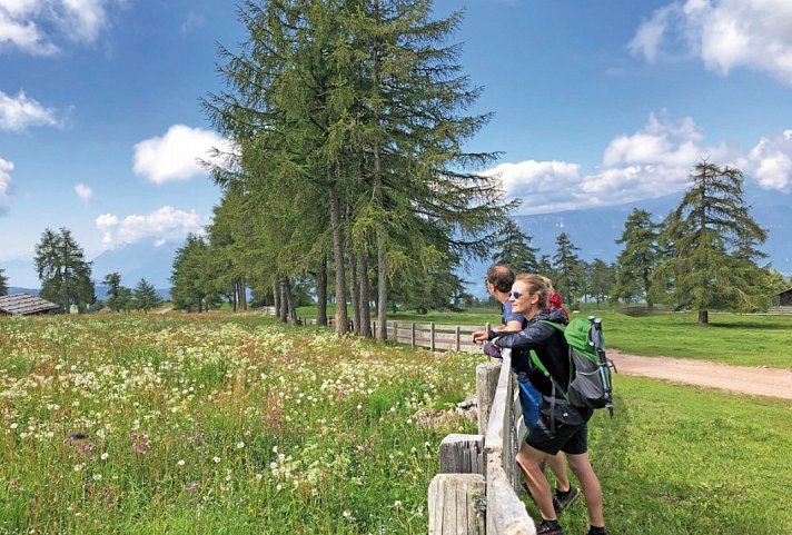 Südtiroler Wein- und Almenweg