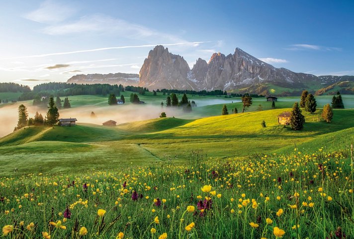 Südtirol - die Seiser Alm gemütlich erwandern