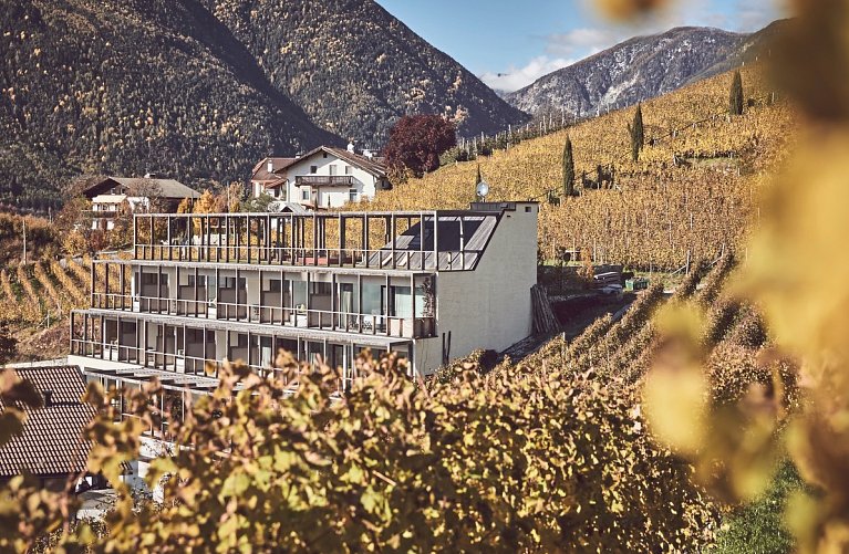 Haller Suites & AO Restaurant
