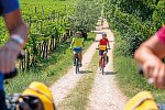 Etsch-Radweg Bozen - Venedig