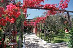 TH Costa Rei - Free Beach Resort