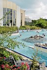Center Parcs Park Hochsauerland