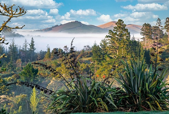 Große Neuseeland Rundreise (14 Tage/13 Nächte) - Landschaft bei Matakohe