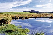 Tempel, Tee & Traditionen (Gruppenreise) - Horton Plains
