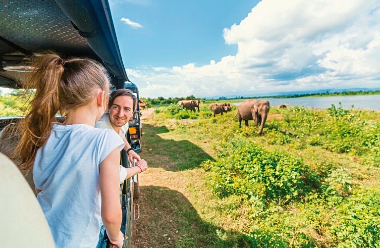 Wildlife Safari