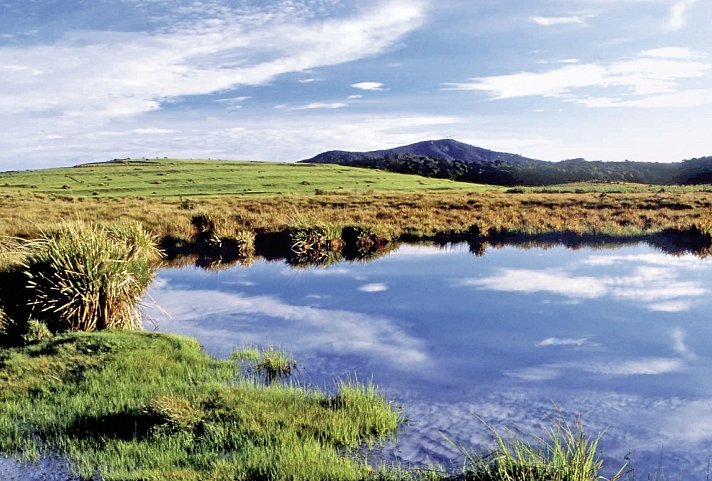 Sri Lankas kulturelle Höhepunkte und das Hochland (Privatreise) - Horton Plains