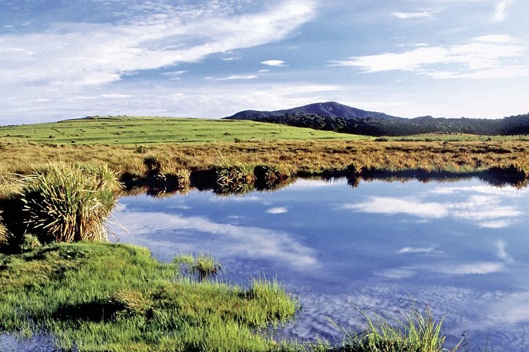 Sri Lankas kulturelle Höhepunkte und das Hochland (Privatreise) - Horton Plains