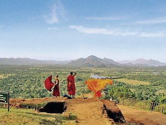 Sri Lankas kulturelle Höhepunkte und das Hochland (Privatreise)