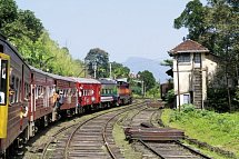 Sri Lankas kulturelle Höhepunkte und das Hochland (Privatreise)