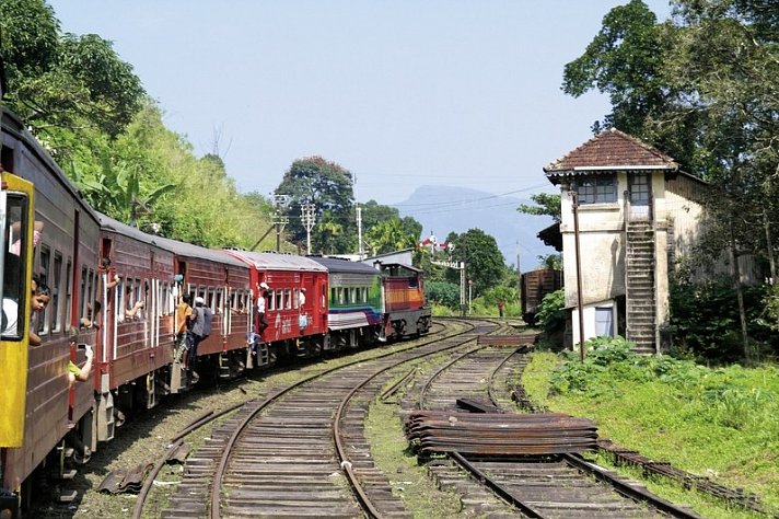 Sri Lankas kulturelle Höhepunkte und das Hochland (Privatreise)