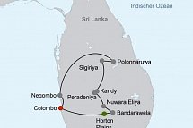 Sri Lankas kulturelle Höhepunkte und das Hochland (Privatreise)