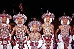 Sri Lanka intensiv