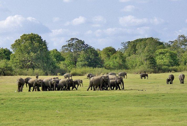 Perle im Indischen Ozean