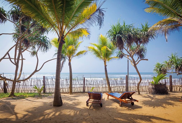 Siddhalepa Ayurveda Resort