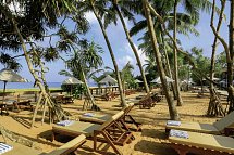 Pandanus Beach Resort & Spa