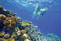 Highlights der Ostküste - Great Barrier Reef