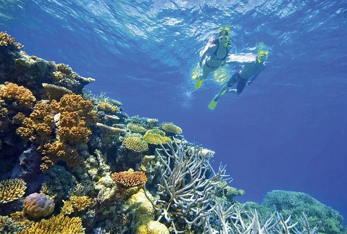 Highlights der Ostküste - Great Barrier Reef
